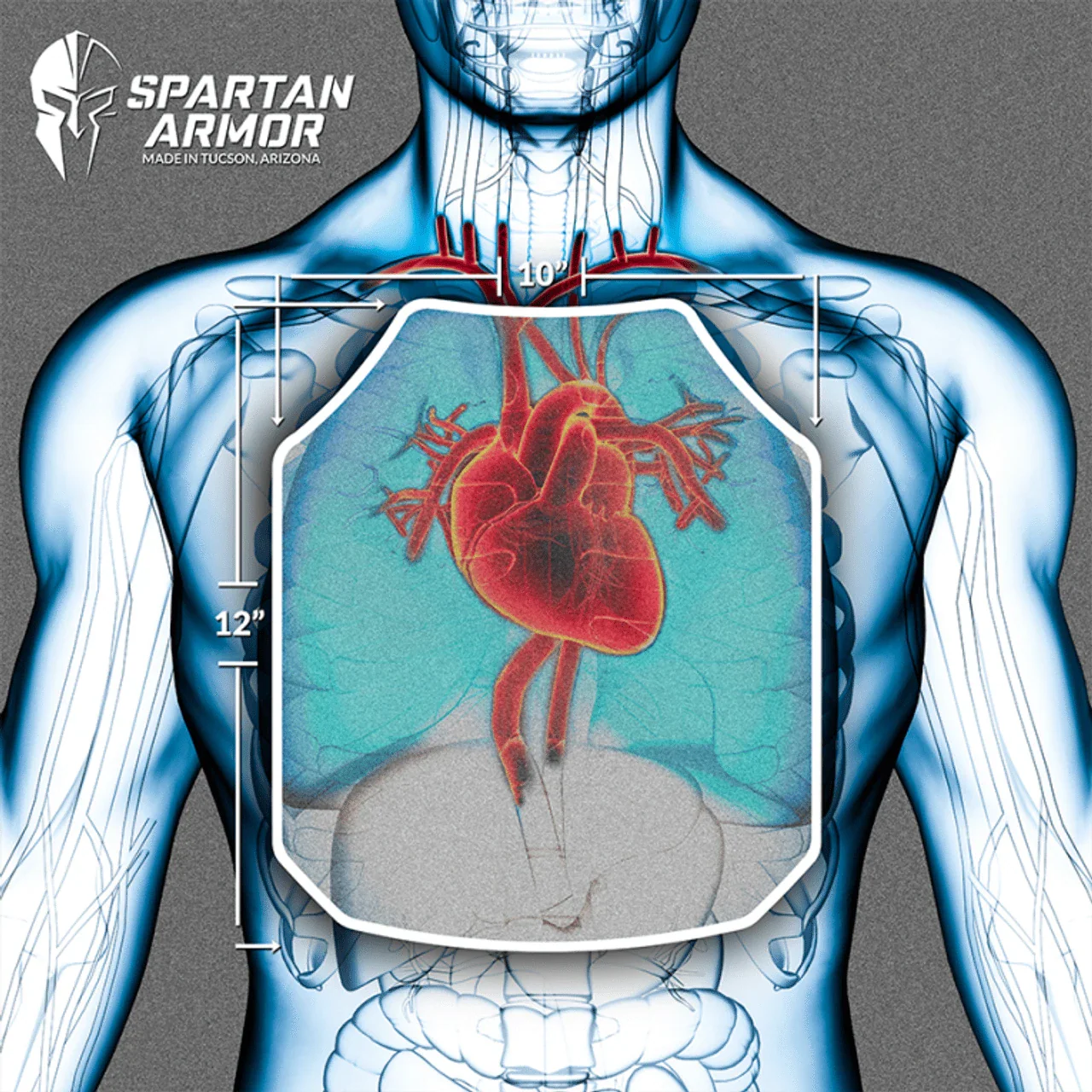 Spartan Level III+ AR550 Steel Body Armor Package